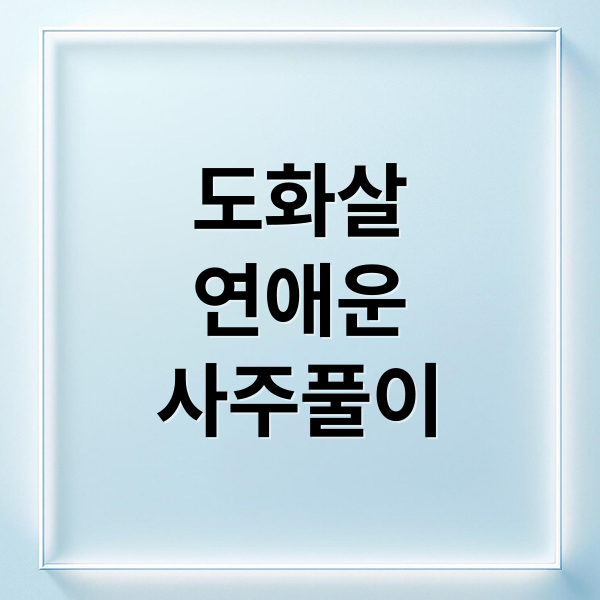 도화살
연애운
사주풀이 (도화살)
