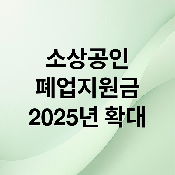 소상공인
폐업지원금
2025년 확대 (소상공인 폐업지원금 신청 방법 기간 조건 지급 금액 및 시기)