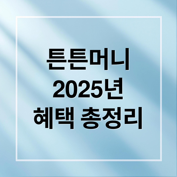 튼튼머니
2025년
혜택 총정리 (튼튼머니 사용처)