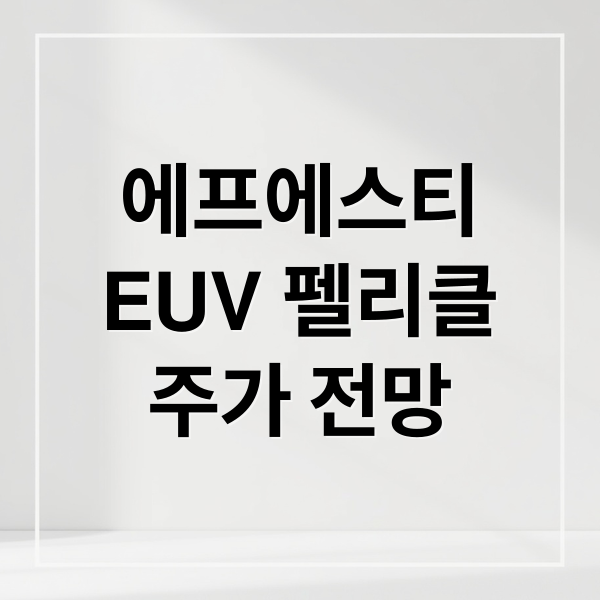 에프에스티
EUV 펠리클
주가 전망 (에프에스티 주가 전망)