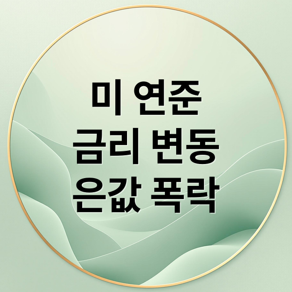 미 연준
금리 변동
은값 폭락 (미국 연준 금리 국제은값시세 영향)