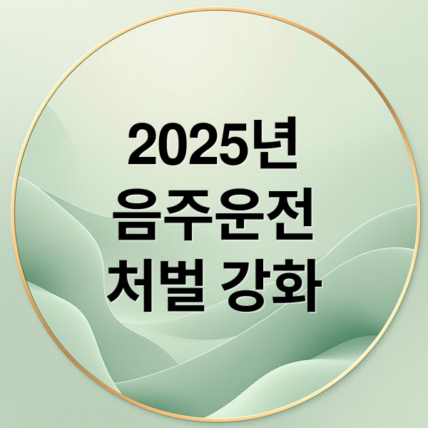 2025년
음주운전
처벌 강화 (음주운전 형사처벌 기준 초범 재범)