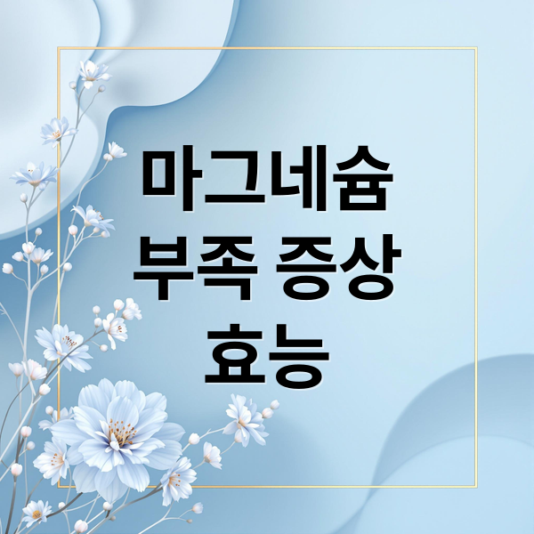 마그네슘
부족 증상
효능 (마그네슘 효능 영양제 추천)