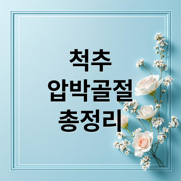 척추
압박골절
총정리 (척추 압박 골절 원인 증상 치료)
