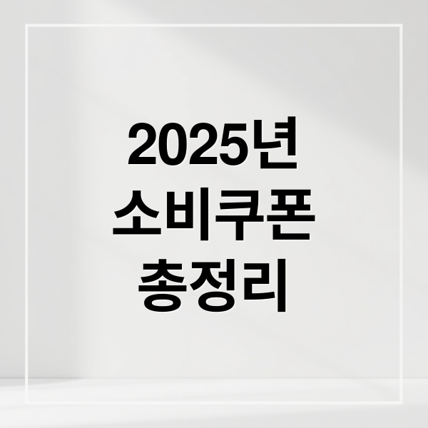 2025년
소비쿠폰
총정리 (정부 소비쿠폰)