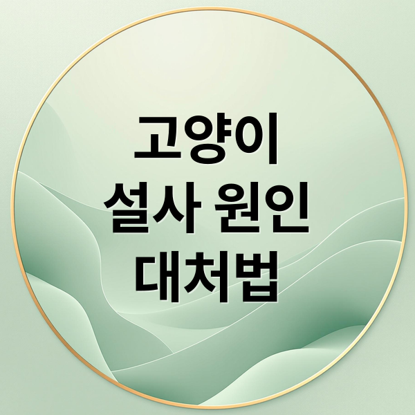 고양이
설사 원인
대처법 (고양이 설사 원인 및 응급처치)