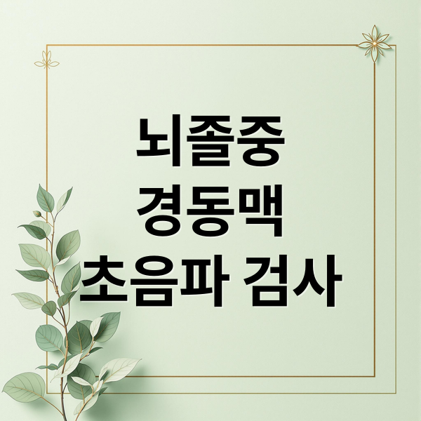 뇌졸중
경동맥
초음파 검사 (경동맥 초음파 검사)