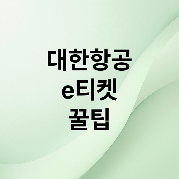 대한항공
e티켓
꿀팁 (대한항공 e티켓)