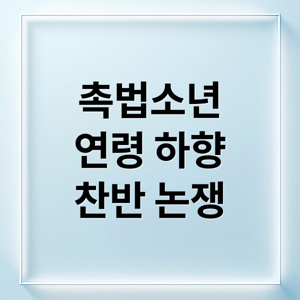촉법소년
연령 하향
찬반 논쟁 (촉법소년 연령 하향 교사 96% 처벌)