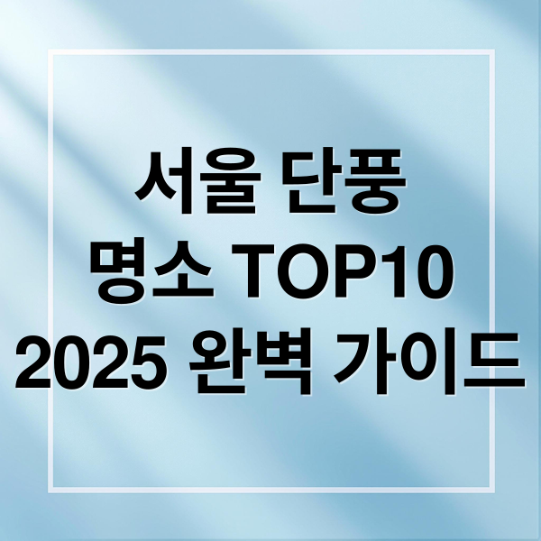 서울 단풍
명소 TOP10
2025 완벽 가이드 (서울 단풍 명소 TOP10)