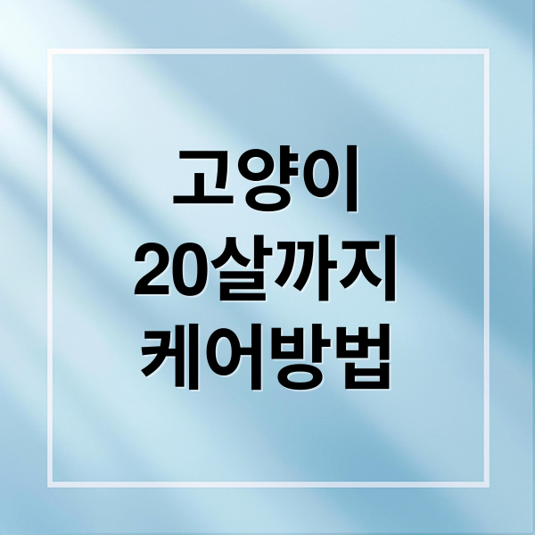 고양이
20살까지
케어방법 (고양이 노령묘 케어 7항목)