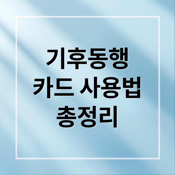 기후동행
카드 사용법
총정리 (기후동행 카드 신청 발급 사용법)
