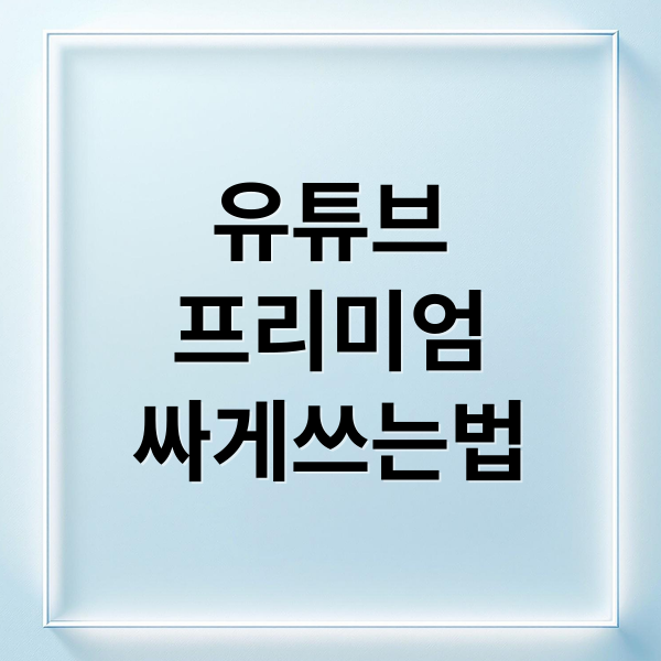 유튜브
프리미엄
싸게쓰는법 (유튜브 프리미엄 70% 할인 월 5천원)