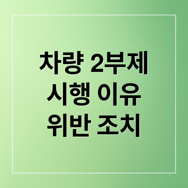 차량 2부제
시행 이유
위반 조치 (차량2부제 시행 방법)