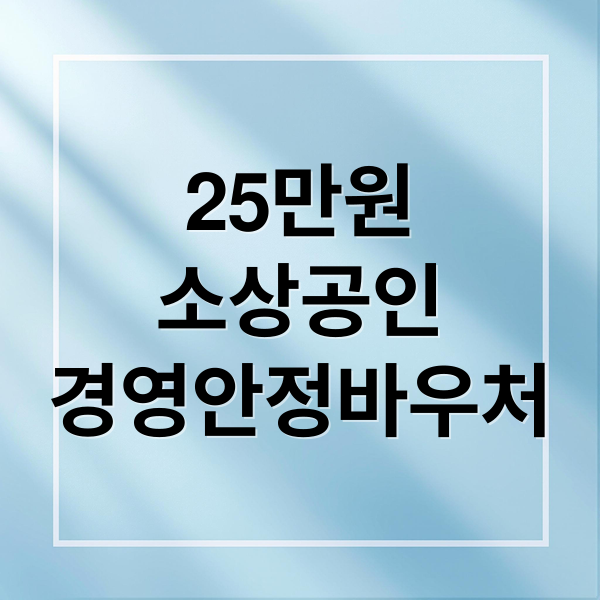25만원
소상공인
경영안정바우처 (소상공인 경영안정바우처 25만원 지원, 신청 방법 및 홈페이지 안내)