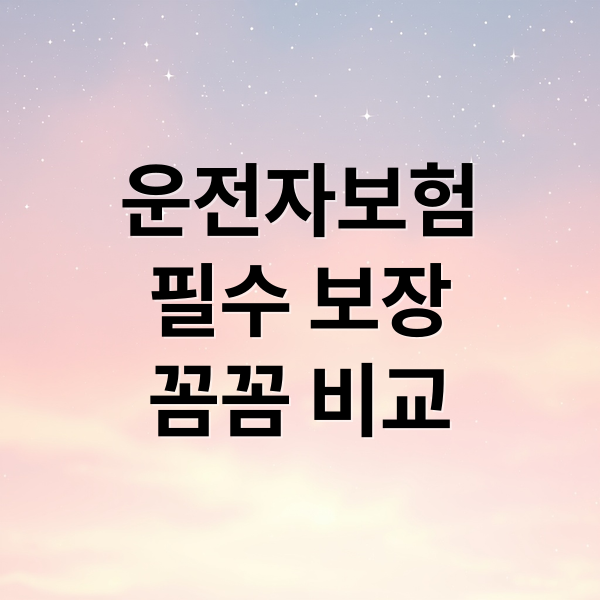 운전자보험
필수 보장
꼼꼼 비교 (운전자보험 추천 설계사)