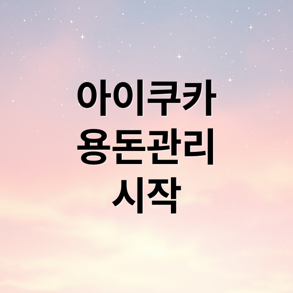 아이쿠카
용돈관리
시작 (아이쿠카 카드 초등학생 용돈관리)