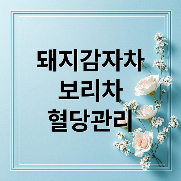 돼지감자차
보리차
혈당관리 (돼지감자 차 보리차 병행 효과)