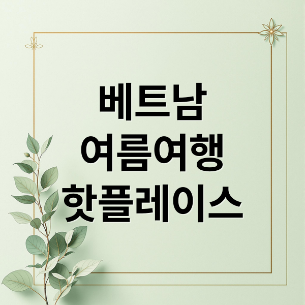 베트남
여름여행
핫플레이스 (베트남여름여행)