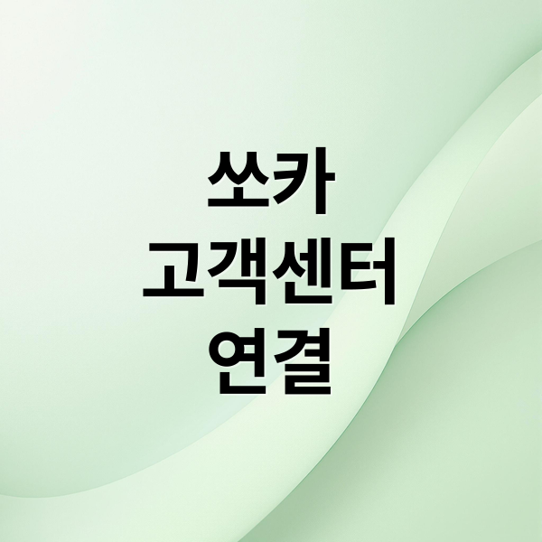 쏘카
고객센터
연결 (쏘카 고객센터 상담원 연결)