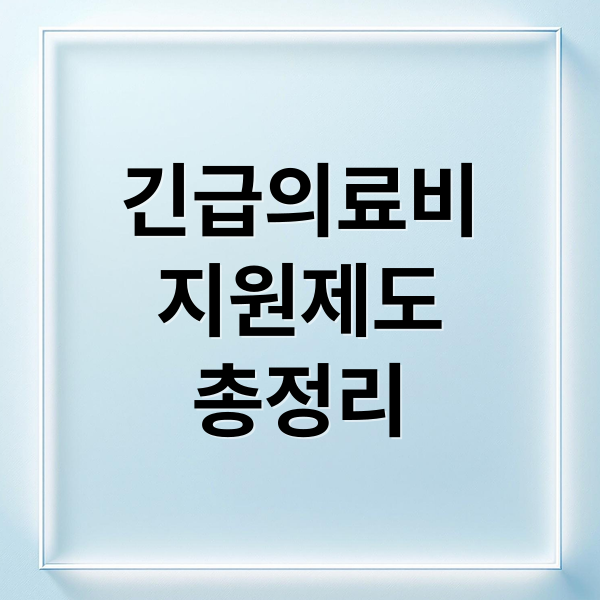 긴급의료비
지원제도
총정리 (긴급의료비지원)