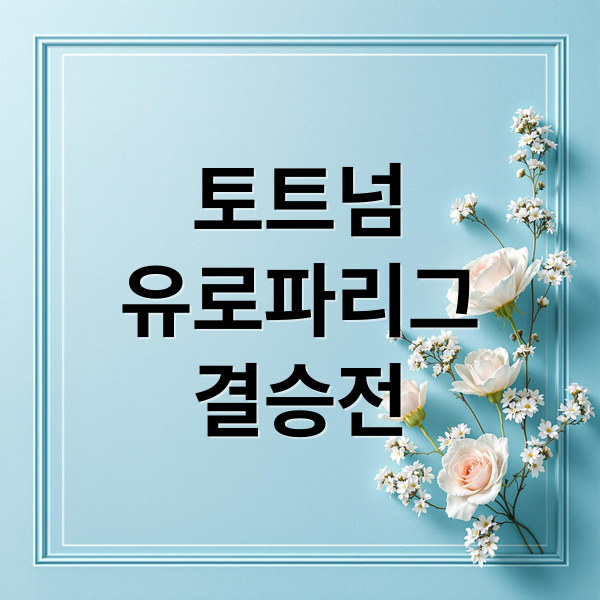 토트넘
유로파리그
결승전 (토트넘 경기 중계 시청)