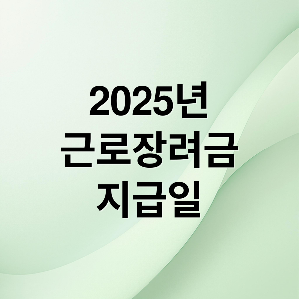 2025년
근로장려금
지급일 (2025년 근로장려금 지급일)