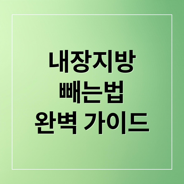 내장지방
빼는법
완벽 가이드 (내장지방 빼는법)
