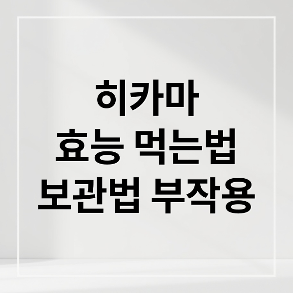 히카마
효능 먹는법
보관법 부작용 (히카마 먹는법)