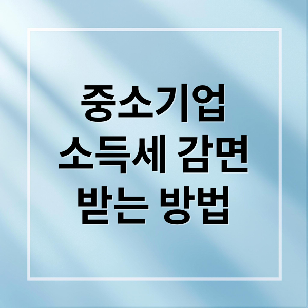 중소기업
소득세 감면
받는 방법 (중소기업 소득세감면 혜택 기간)