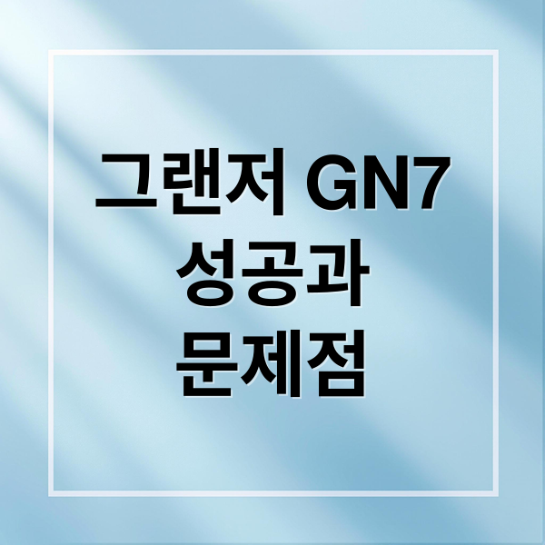그랜저 GN7
성공과
문제점 (그랜저 GN7 논란 성공 비결)