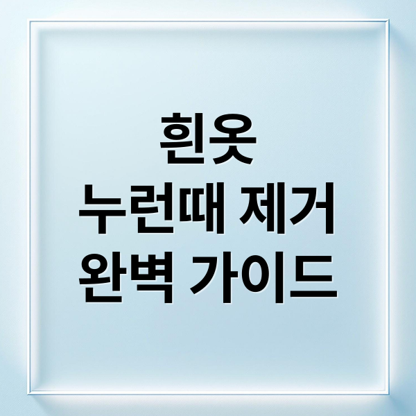 흰옷
누런때 제거
완벽 가이드 (흰옷 누런때 제거 방법)