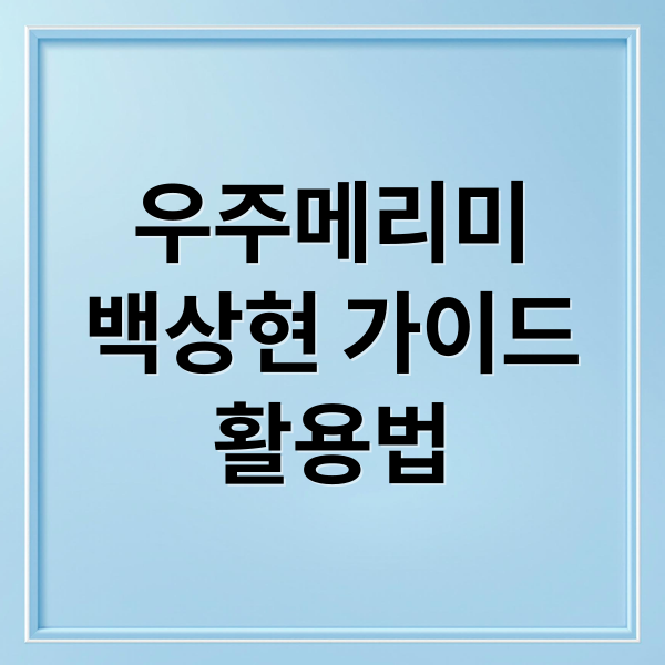 우주메리미
백상현 가이드
활용법 (우주메리미 백상현 가이드)