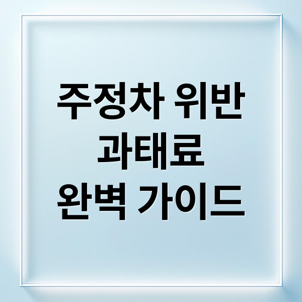 주정차 위반
과태료
완벽 가이드 (주정차 위반 이의신청 의견진술 이의제기)