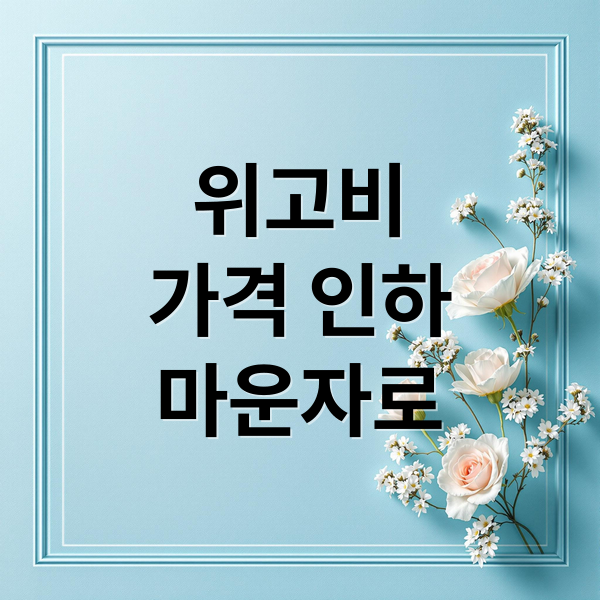 위고비
가격 인하
마운자로 (위고비 가격 40% 인하)