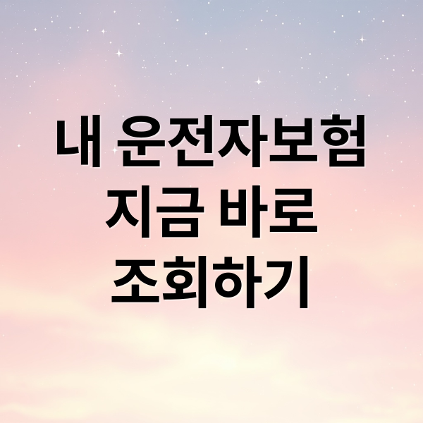 내 운전자보험
지금 바로
조회하기 (운전자보험 조회 방법)