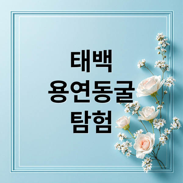 태백
용연동굴
탐험 (태백 용연동굴)