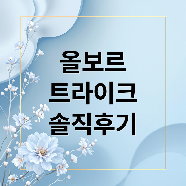 올보르
트라이크
솔직후기 (올보르 트라이크 장단점)