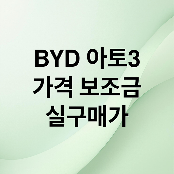BYD 아토3
가격 보조금
실구매가 (BYD 아토3 가격 가성비)