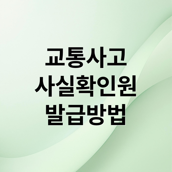 교통사고
사실확인원
발급방법 (교통사고 사실확인원)