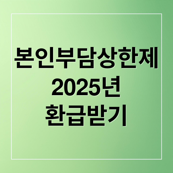 본인부담상한제
2025년
환급받기 (본인부담상한제 환급)