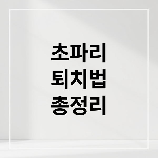 초파리
퇴치법
총정리 (초파리 없애는 법-생기는 이유와 퇴치)