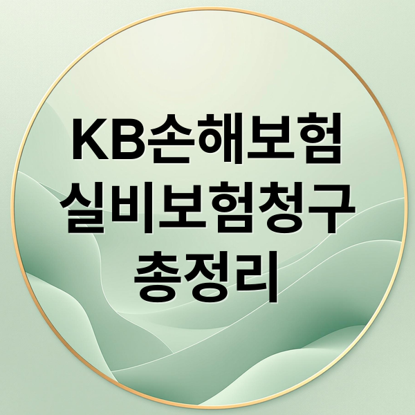 KB손해보험
실비보험청구
총정리 (KB손해보험 실비보험 청구)