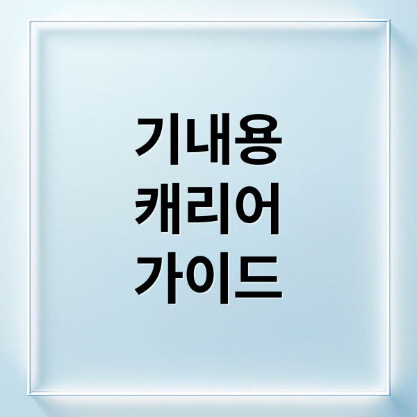 기내용
캐리어
가이드 (기내용캐리어)