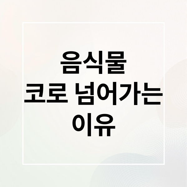 음식물
코로 넘어가는
이유 (음식물이 코로 걸리면)