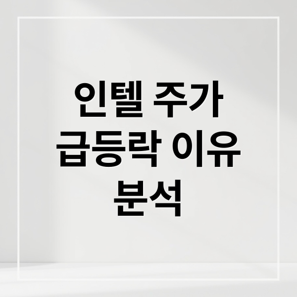 인텔 주가
급등락 이유
분석 (인텔 주가 미정부 지분 인수)