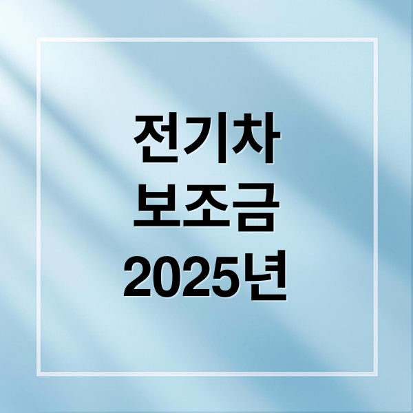 전기차
보조금
2025년 (전기차 보조금)