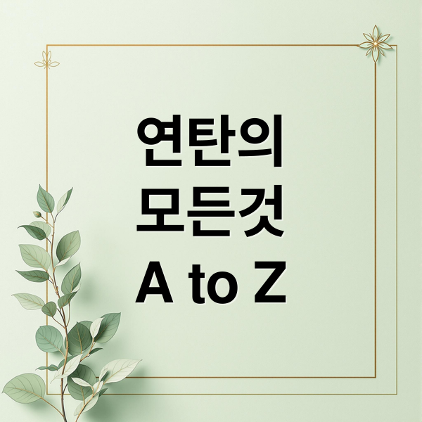 연탄의
모든것
A to Z (연탄)