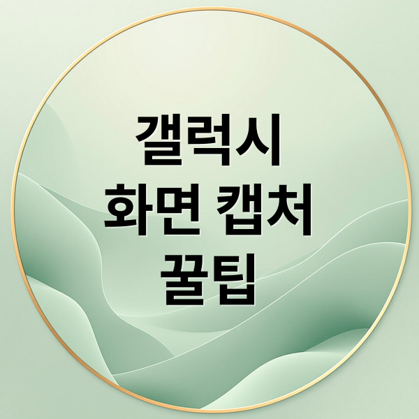 갤럭시
화면 캡처
꿀팁 (갤럭시 휴대폰 화면 캡처)