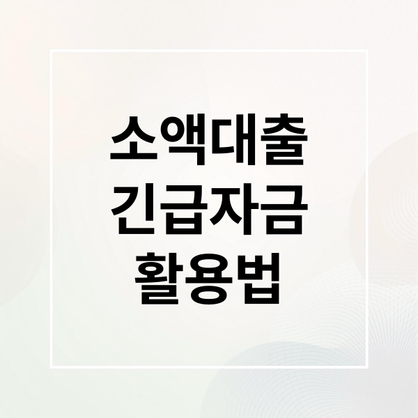 소액대출
긴급자금
활용법 (소액대출)